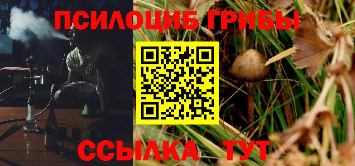 Семилуки  Галлюциногенные грибы Psilocybine cubensis  Вход с VPN 