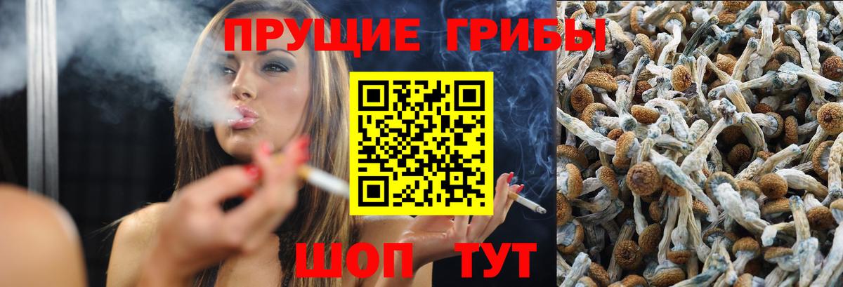 Псилоцибиновые грибы MAGIC MUSHROOMS Семилуки